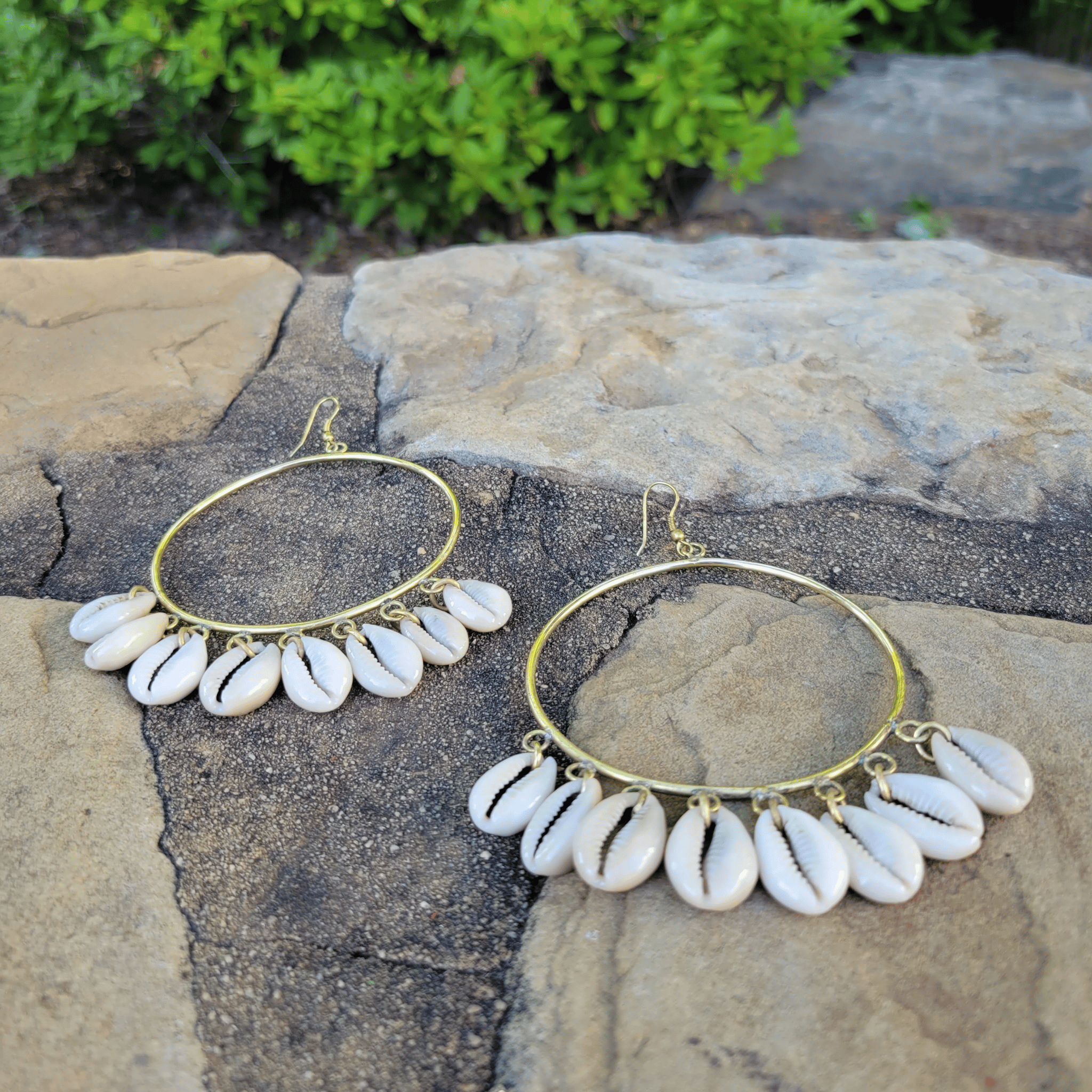 Gold-tone hoop earrings with dangling white cowrie shells, displayed on a natural stone surface with green foliage in the background. Shop Kamawe
