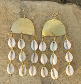 Smooth Cowrie Shell Curtain Earrings